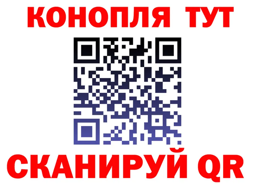 АМФ Premium маркетплейс площадка hydra Правдинск